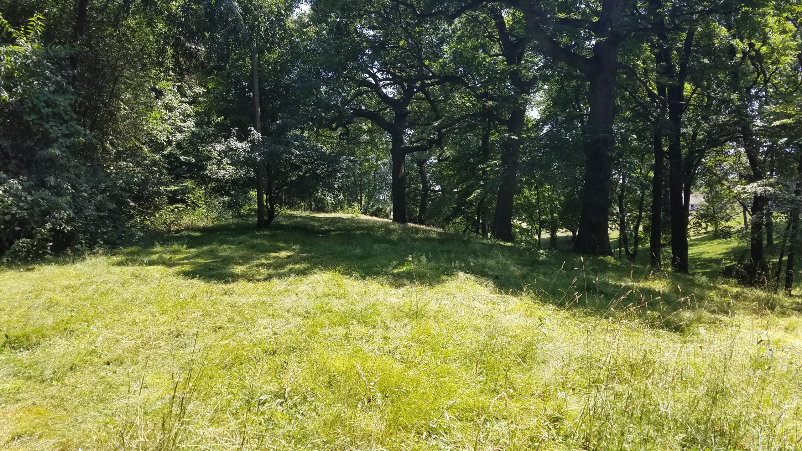 Camp Massillon–landscape 1