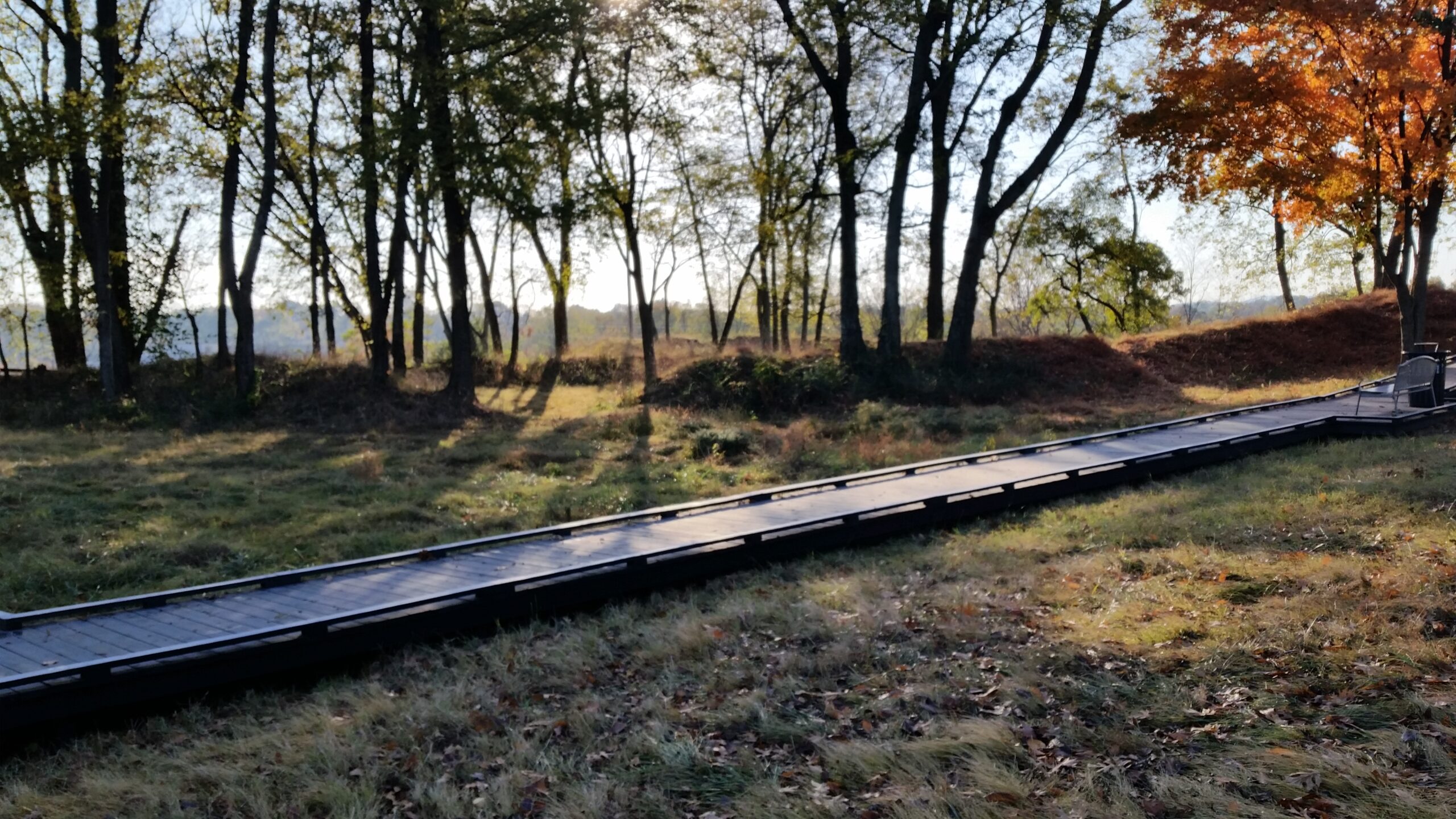 Franklin–Fort Granger earthworks 3